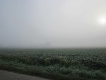 IMG_1946.JPG