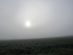 Le brouillard ce matin.