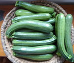 Courgettes récolte.jpg