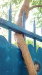 IMG_20160821_102958404.jpg