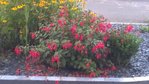 WP_20160821_003.jpg