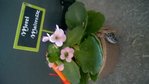 WP_20160821_001.jpg