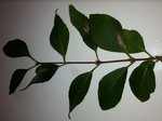 20160821_172846.jpg