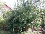 20160821_173124.jpg