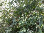 20160821_173134.jpg