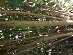 20160821_173145.jpg