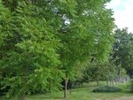 20160822-091017.jpg
