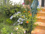 DSCN7122.JPG