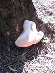 IMG_20160816_111744.jpg