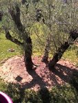 IMG_20160816_112040.jpg