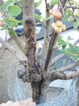 DSC01284.JPG