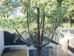 DSC01285.JPG