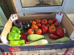 Le jardin c'est aussi le plaisir de pouvoir offrir de jolis cartons pleins de légumes pour les amis,la famille et les voisins.