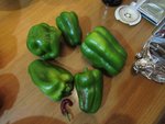Mes premiers poivrons.