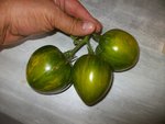 grappe verte.jpg