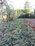 IMG_1995.JPG