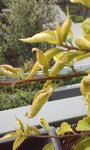 20160903_084645.jpg
