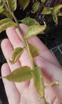 20160903_084628.jpg