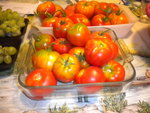 DSCN7211.JPG