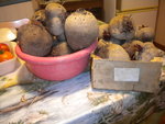 DSCN7208.JPG