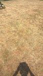 WP_20160907_15_14_45_Pro.jpg