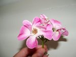 100_2773.JPG