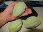 AMANDES.jpg