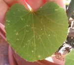 20160910_090044.jpg
