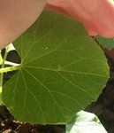 20160910_090110.jpg