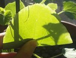 20160910_090136.jpg