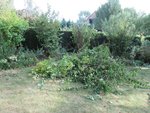 10-09  taille.jpg