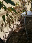 20160910_115558-600x800.jpg