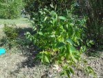 DSC01951.JPG