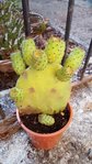 IMG-20160913-WA0022.jpg