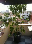 20160913_194657_resized_2.jpg