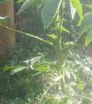 20160910_173611-1_opt.jpg